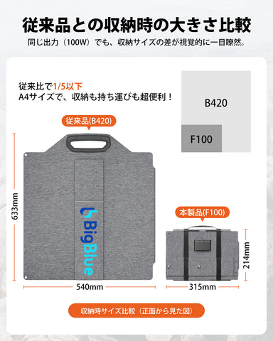 BigBlue SolarPowa100 (F100)