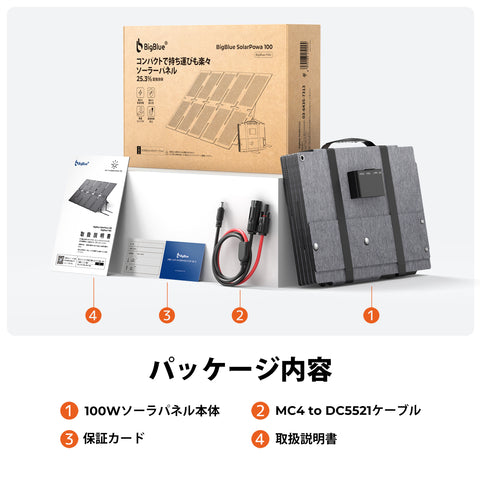 BigBlue SolarPowa100 (F100)