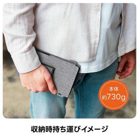 BigBlue SolarPowa35 (F35)