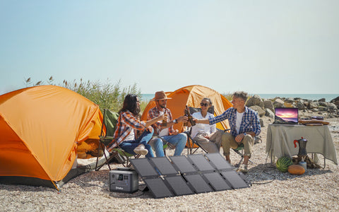 BigBlue SolarPowa100 (F100)
