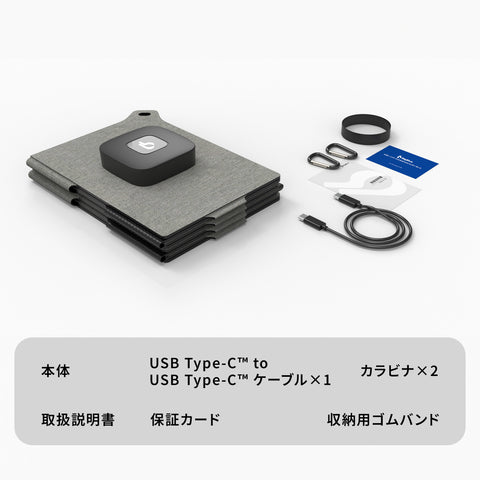 BigBlue ソーラーチャージャー　　　　　　                                   手のひらサイズ太陽光充電器F25