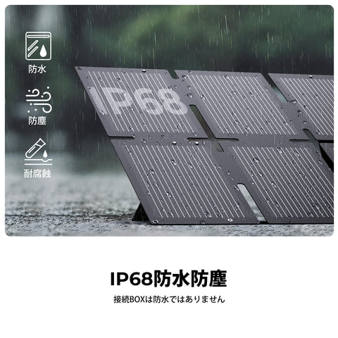 BigBlue SolarPowa100 (F100)