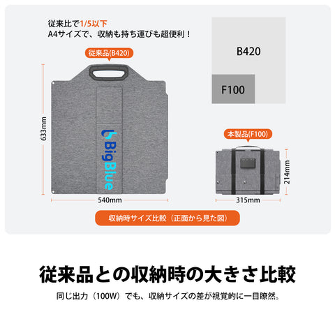 BigBlue SolarPowa100 (F100)