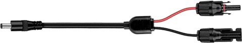 BigBlue SolarPowa100 (F100)